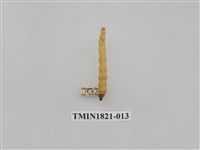 藏品(蔬菜害蟲)的圖片